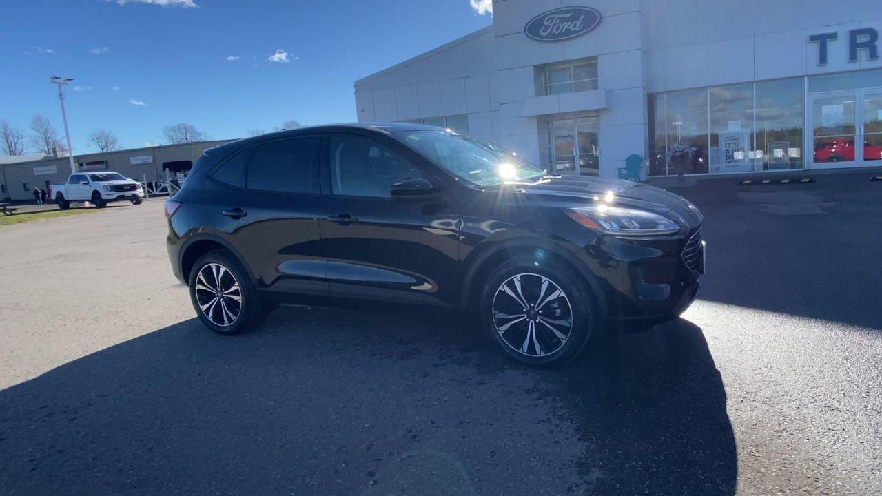 2022 Ford Escape SE Photo