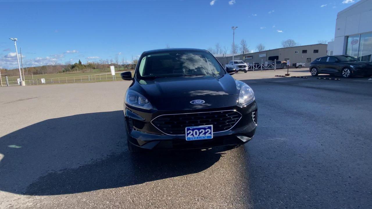2022 Ford Escape SE Photo