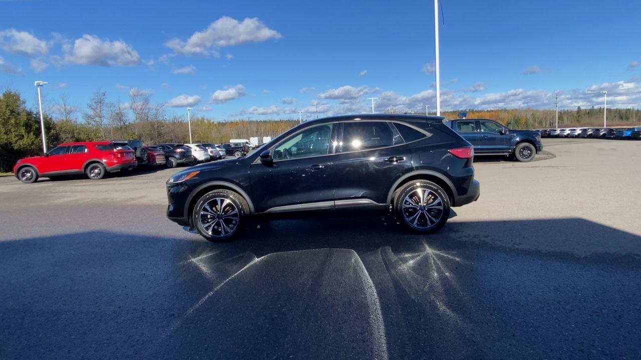 2022 Ford Escape SE Photo