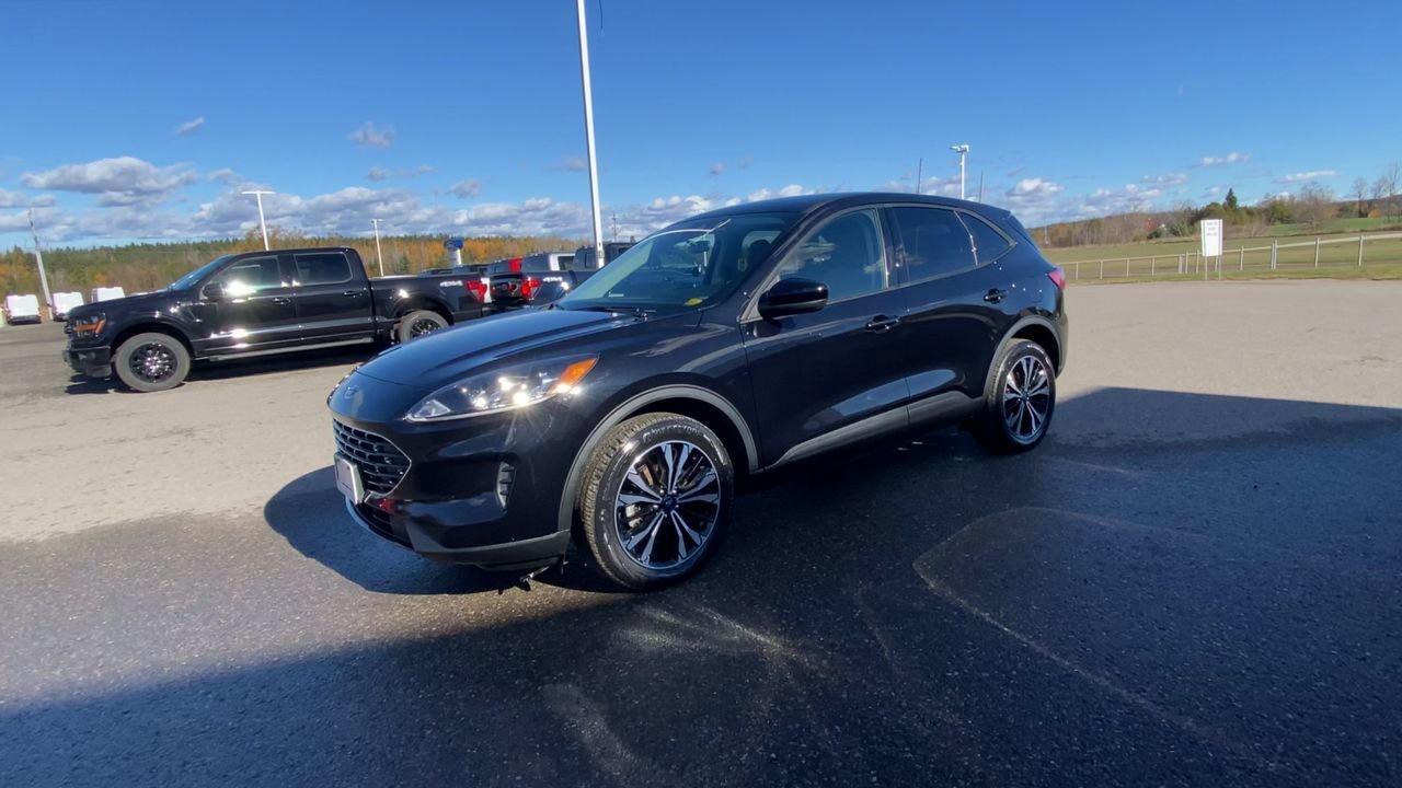 2022 Ford Escape SE Photo