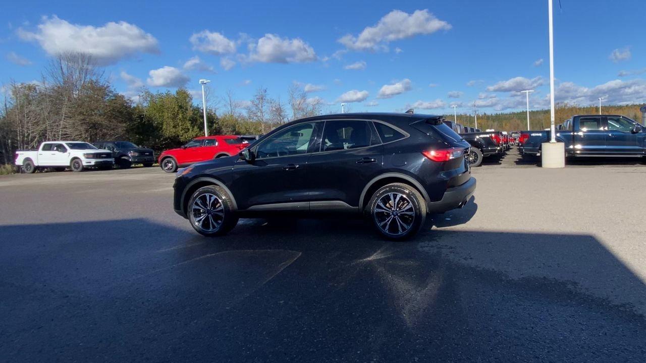 2022 Ford Escape SE Photo