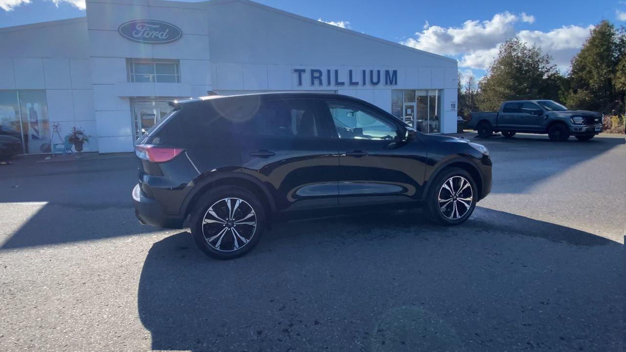 2022 Ford Escape SE Photo