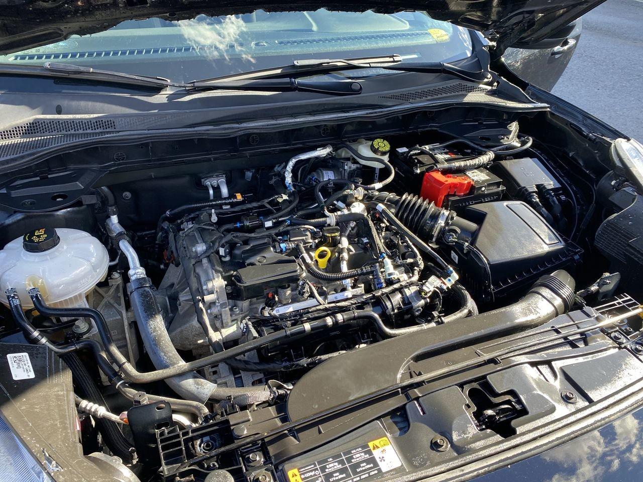 2022 Ford Escape SE Photo