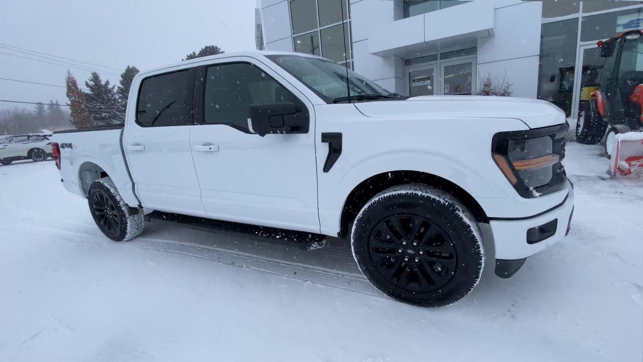 2025 Ford F-150 XLT Photo