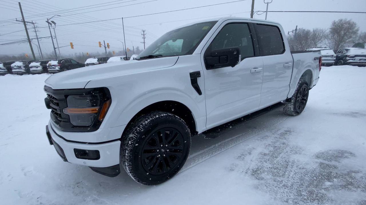 2025 Ford F-150 XLT Photo3