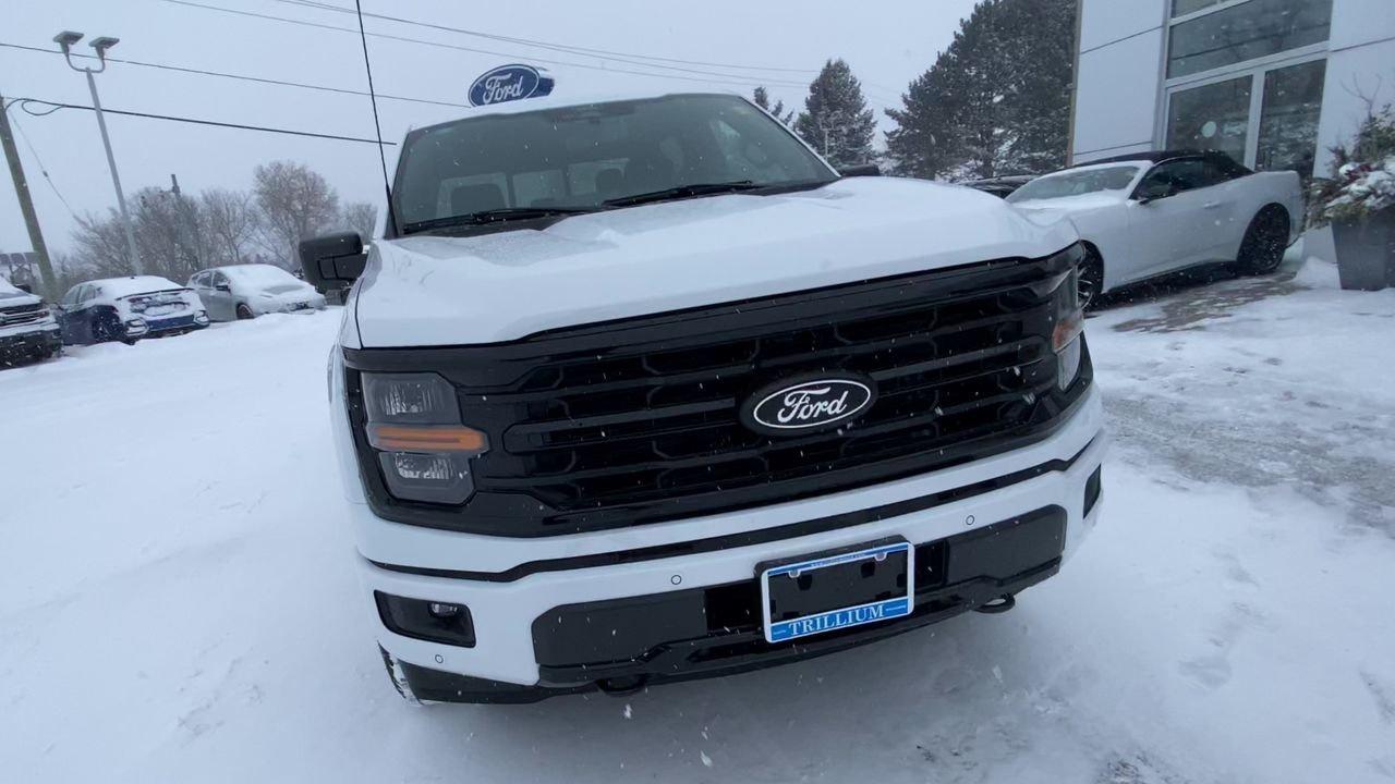 2025 Ford F-150 XLT Photo