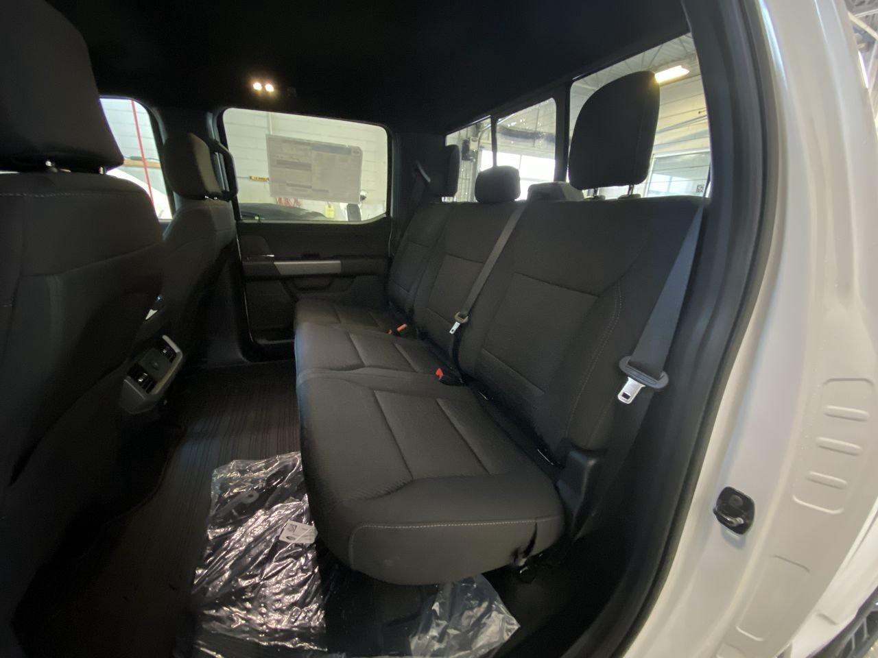 2025 Ford F-150 XLT Photo