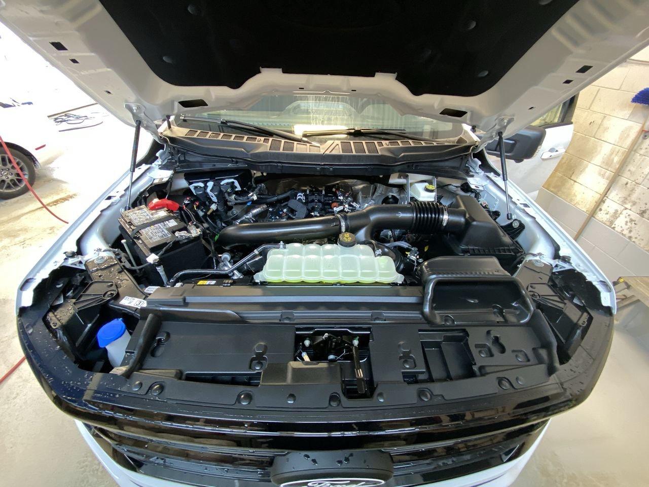 2025 Ford F-150 XLT Photo