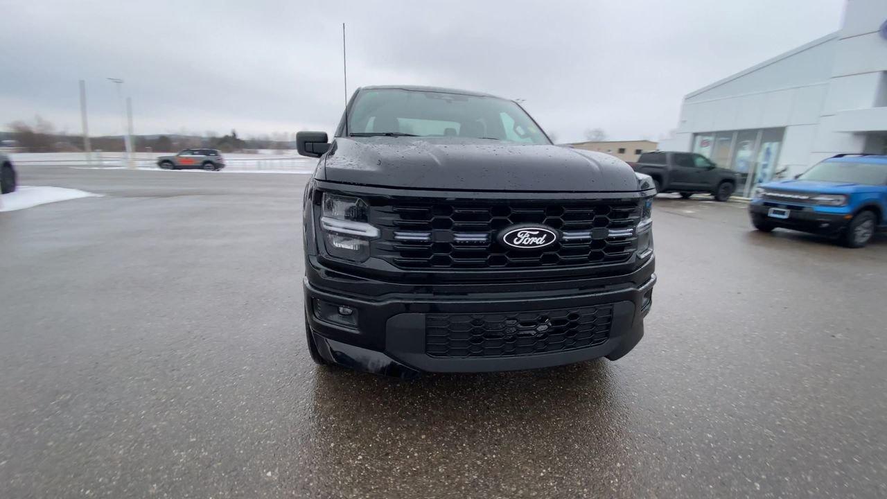 2025 Ford F-150 STX Photo