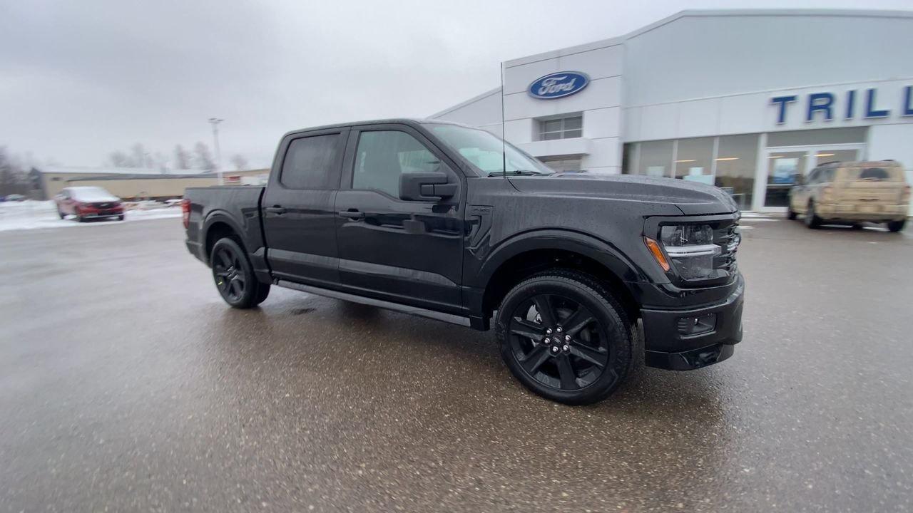 2025 Ford F-150 STX Photo