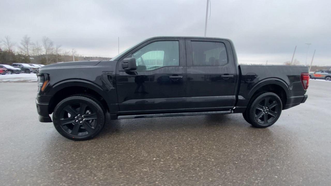 2025 Ford F-150 STX Photo