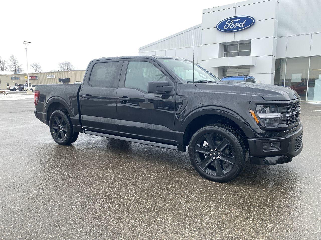 2025 Ford F-150 STX Photo0