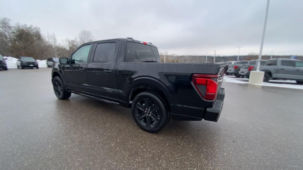 2025 Ford F-150 STX Photo