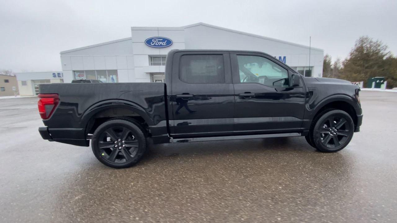 2025 Ford F-150 STX Photo