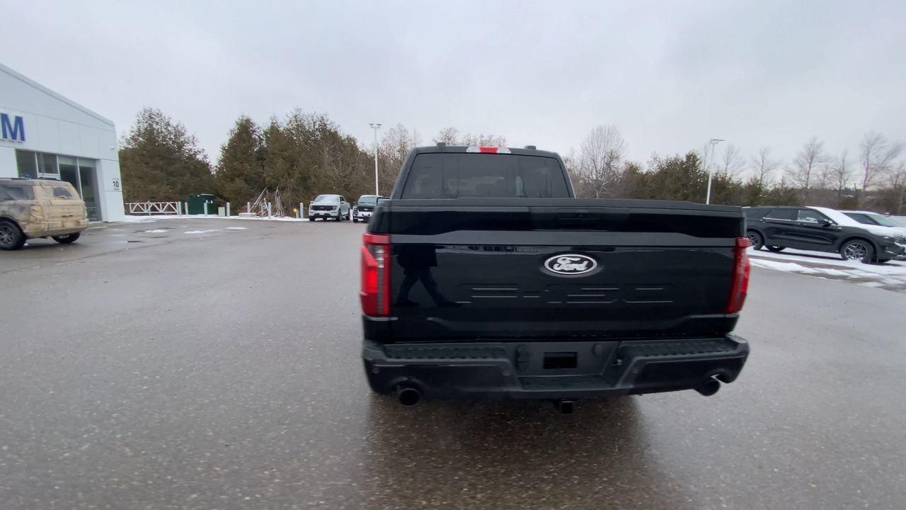 2025 Ford F-150 STX Photo