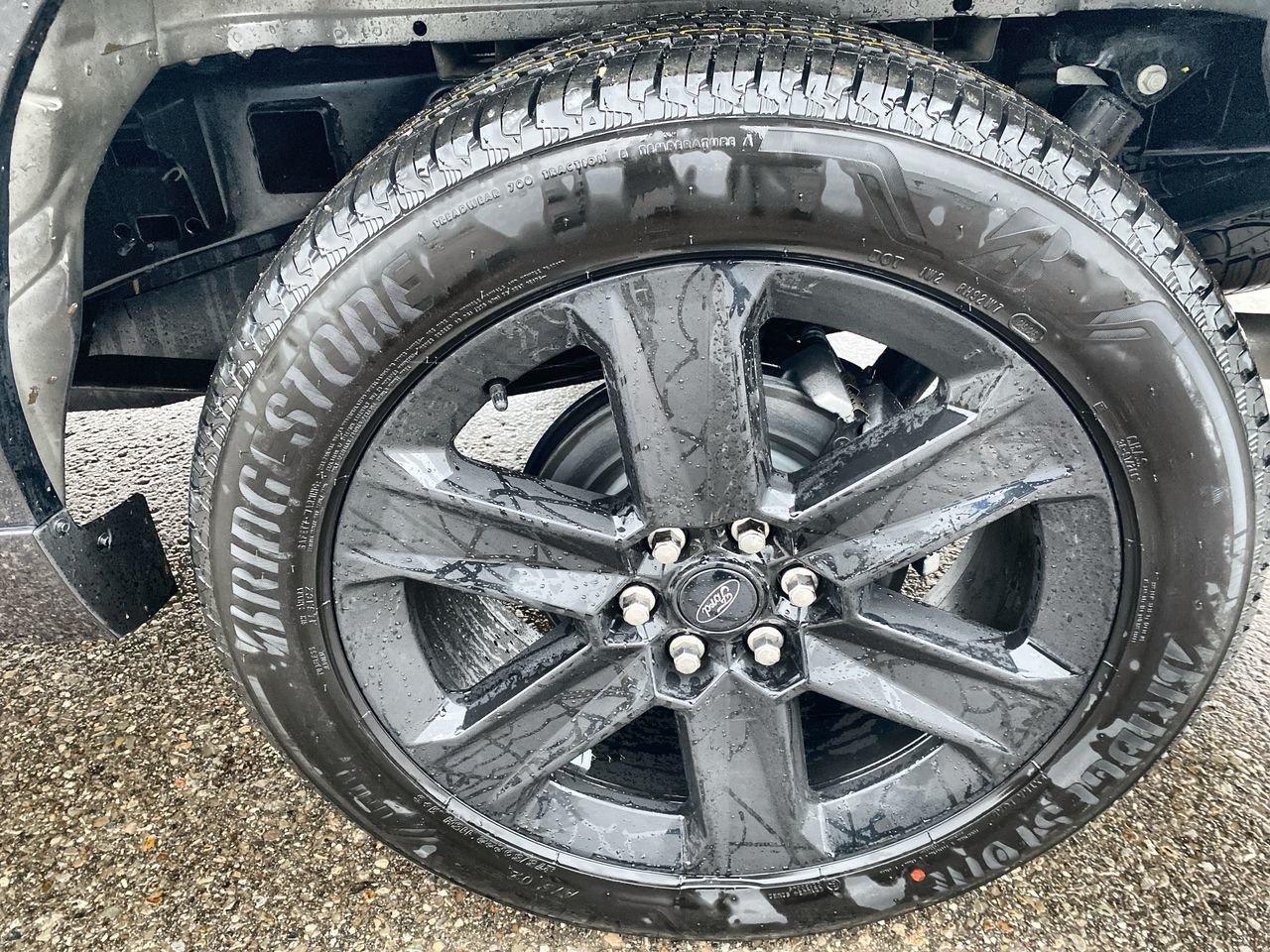 2025 Ford F-150 STX Photo