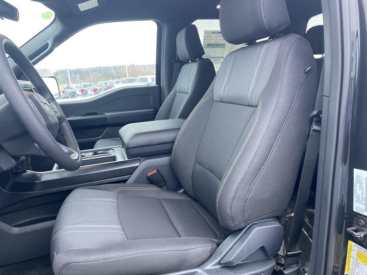 2025 Ford F-150 STX Photo