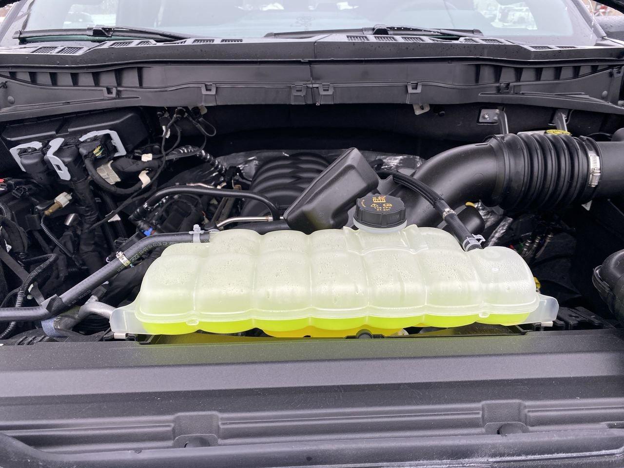 2025 Ford F-150 STX Photo