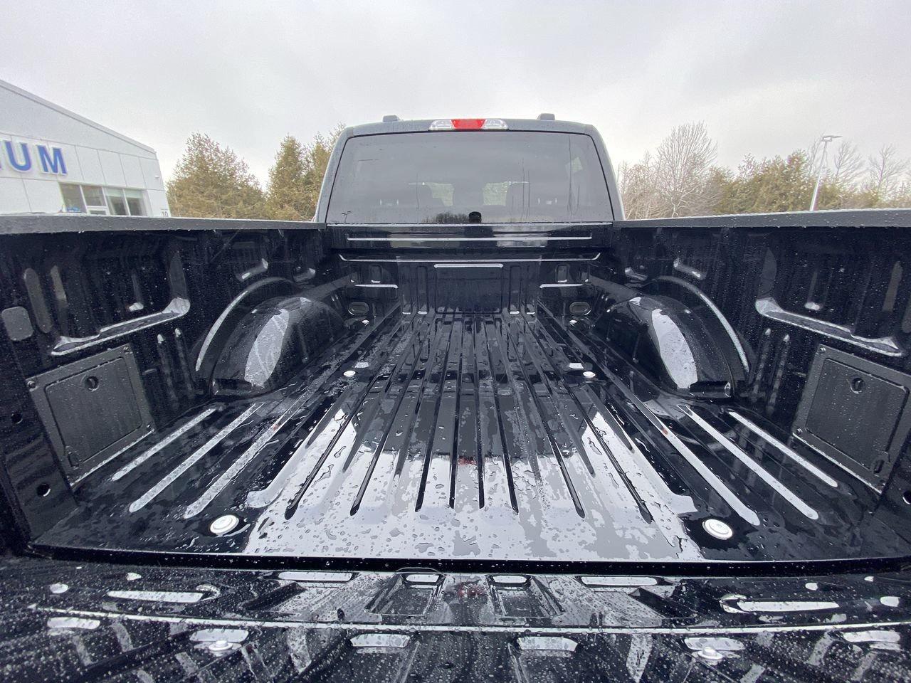 2025 Ford F-150 STX Photo