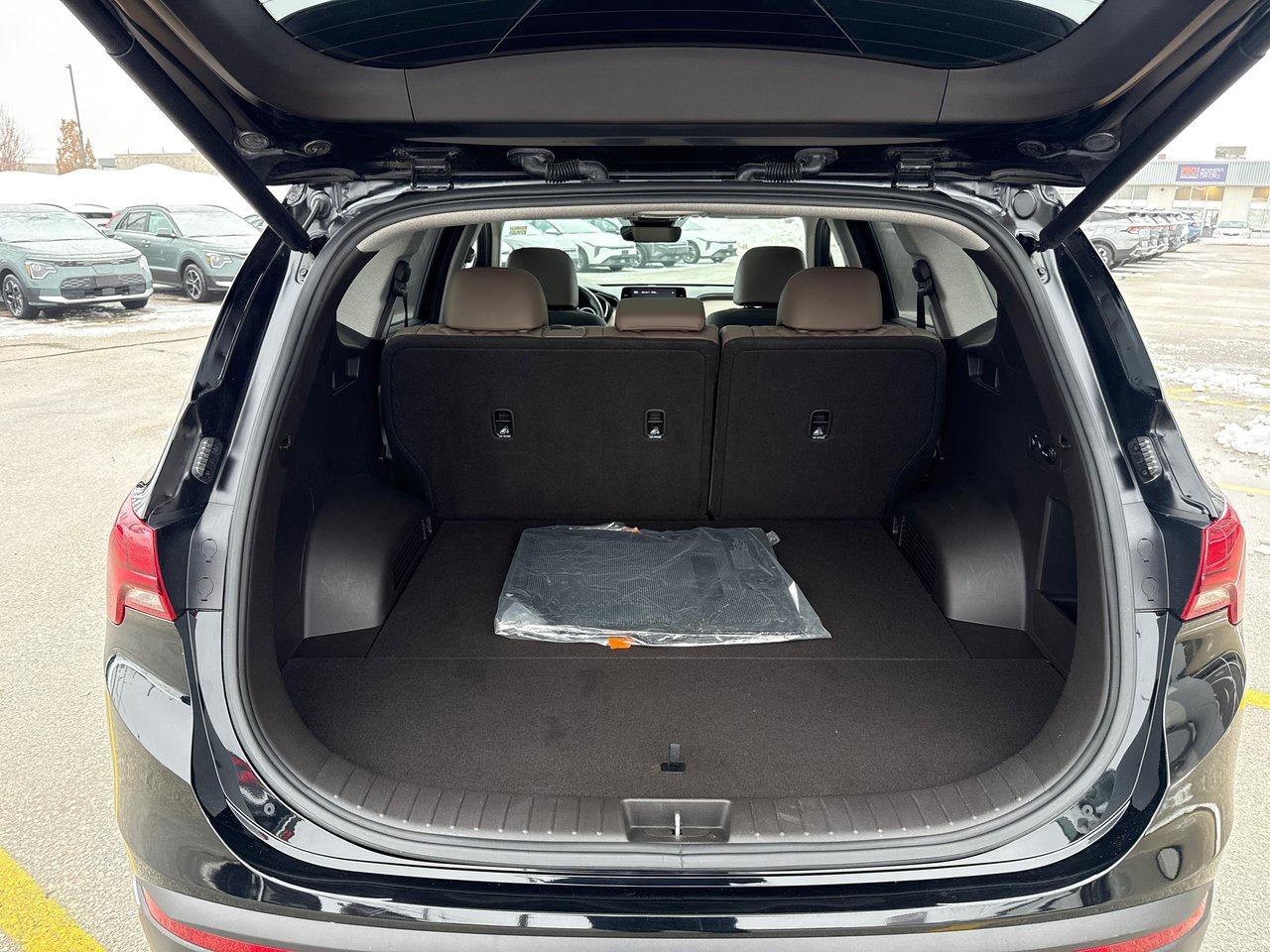 2022 Hyundai Santa Fe Hybrid Luxury Photo