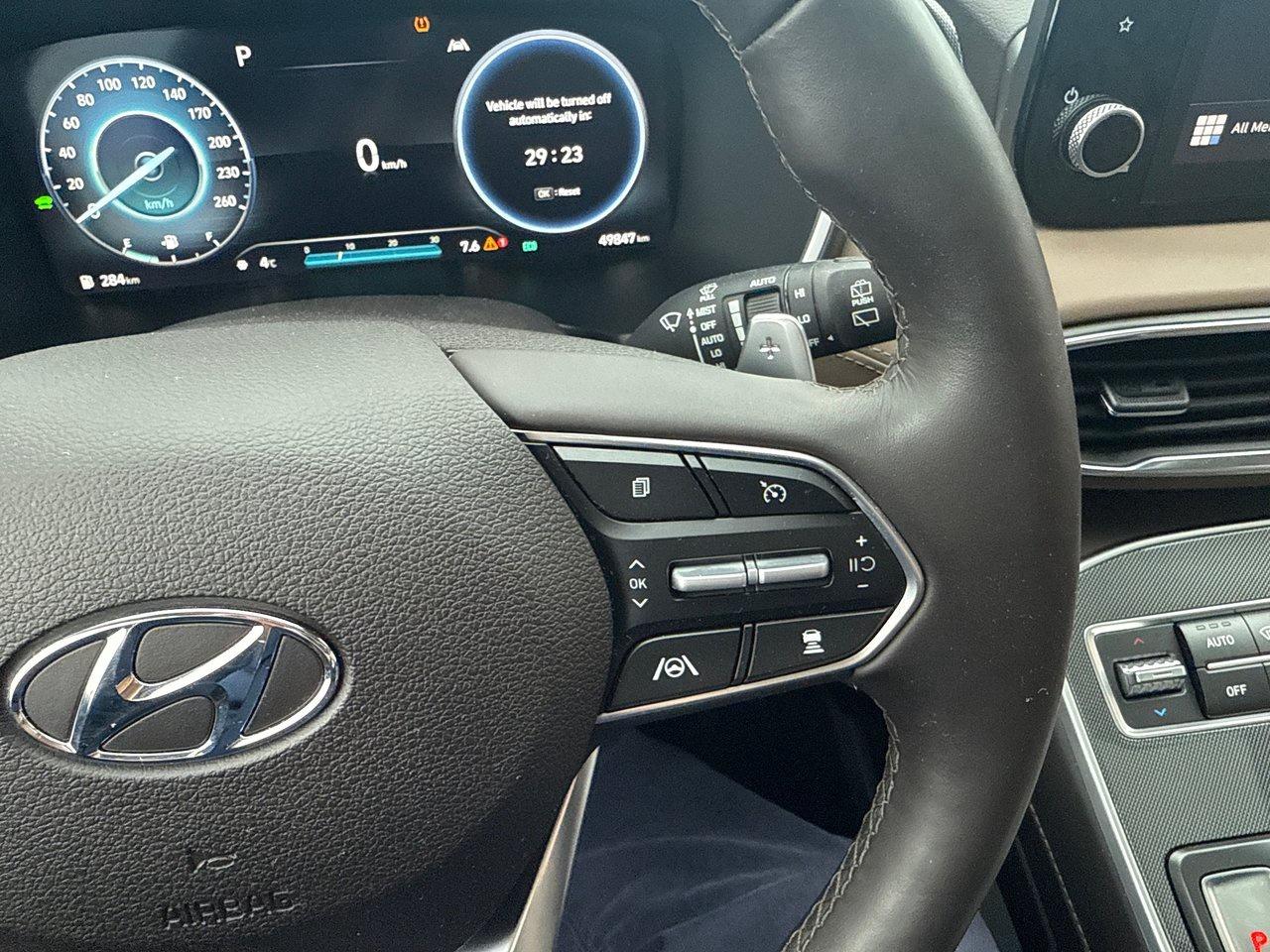 2022 Hyundai Santa Fe Hybrid Luxury Photo