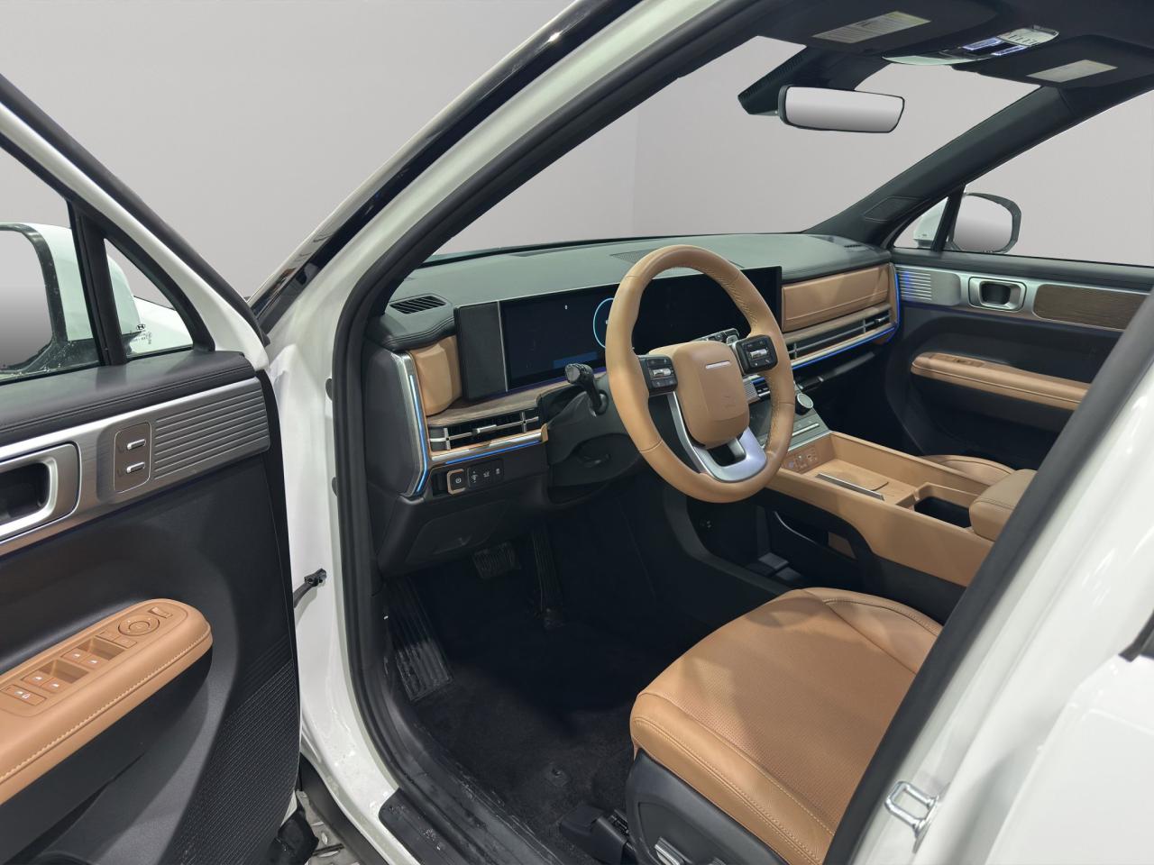 2025 Hyundai Santa Fe Luxury Photo