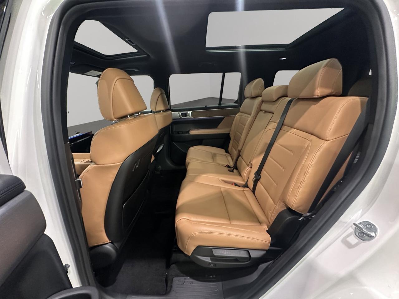 2025 Hyundai Santa Fe Luxury Photo