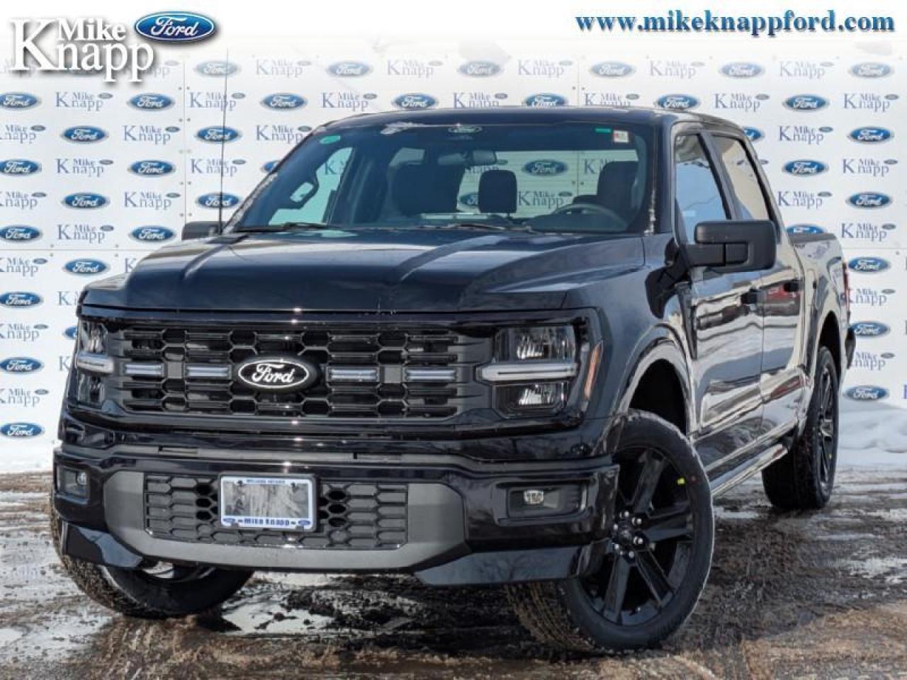 2026 Ford F-150 STX Photo