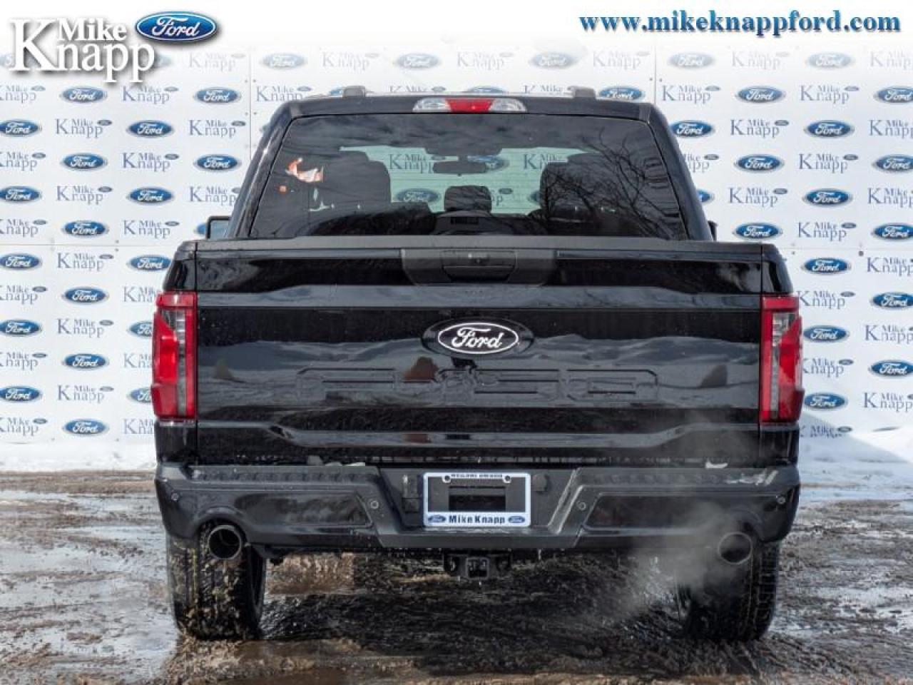 2026 Ford F-150 STX Photo