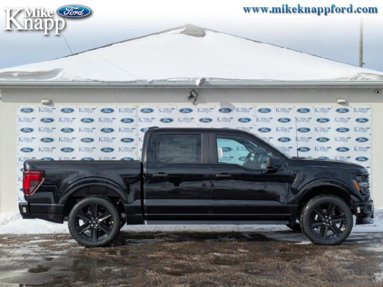 2026 Ford F-150 STX Photo