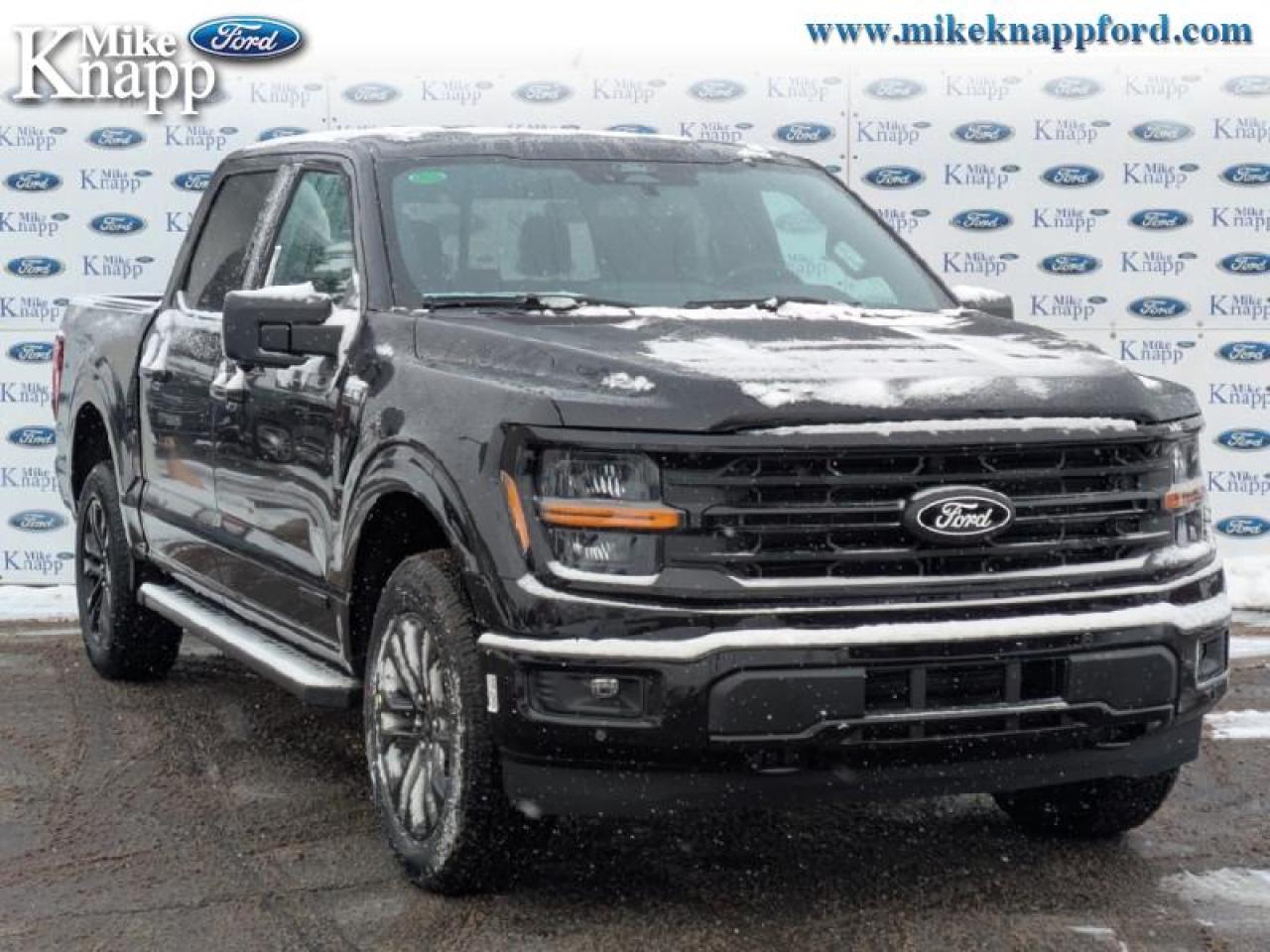 2026 Ford F-150 XLT Photo