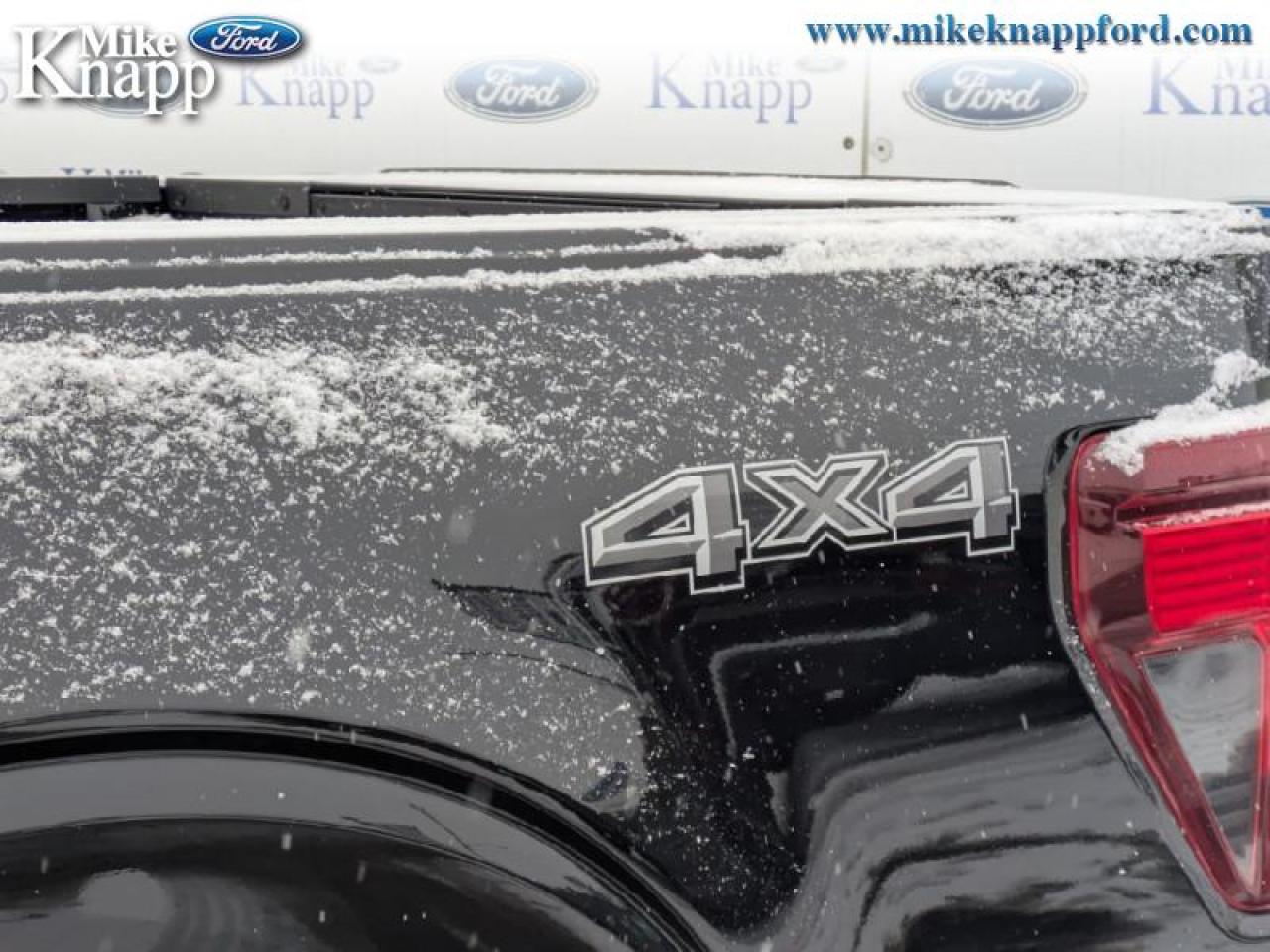 2026 Ford F-150 XLT Photo