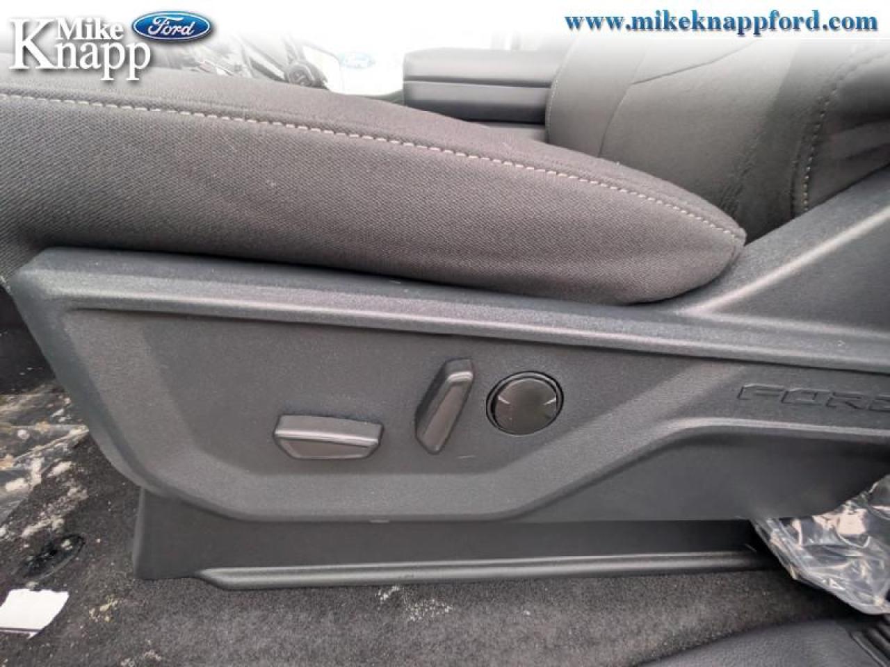 2026 Ford F-150 XLT Photo