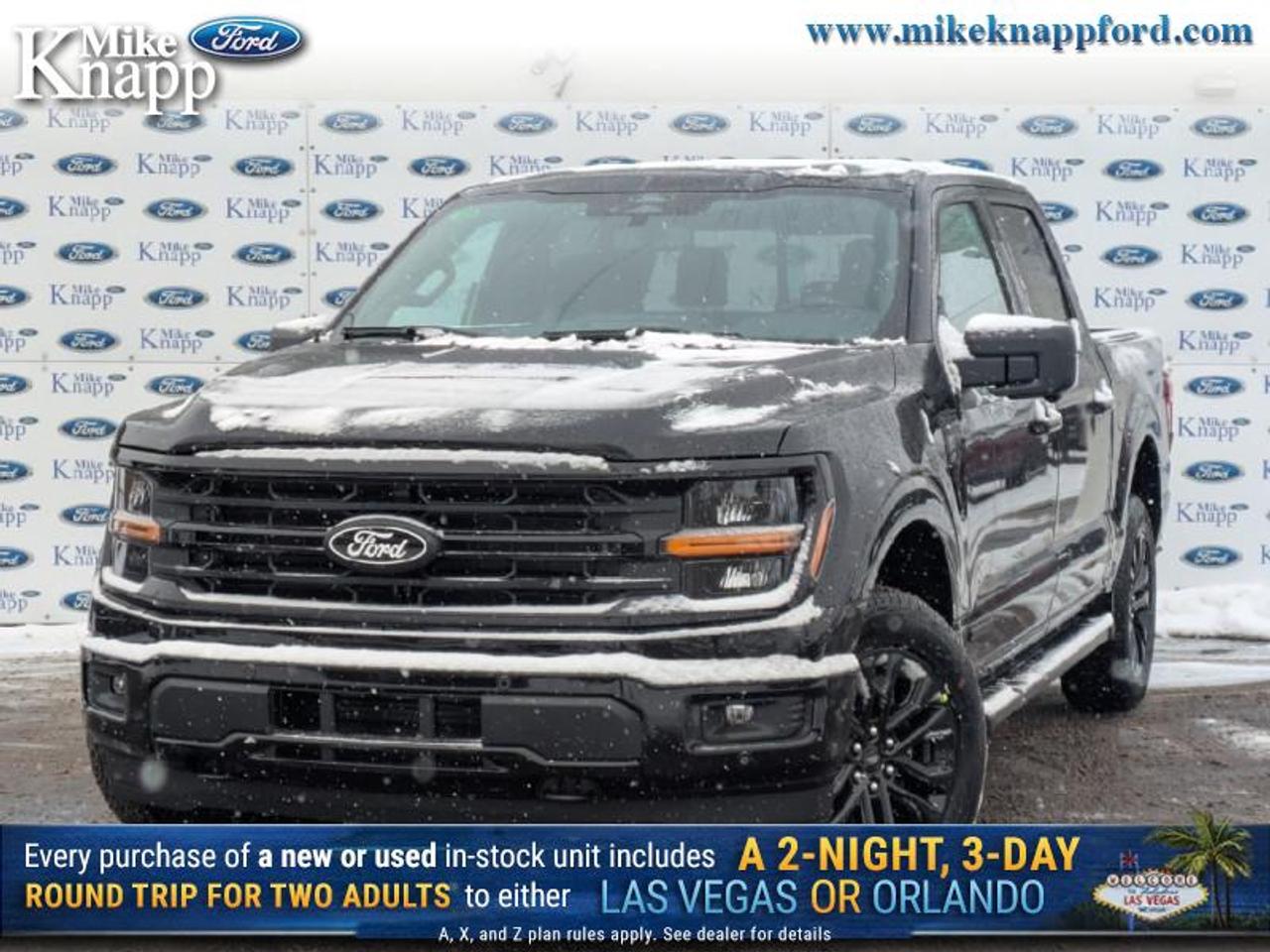 2026 Ford F-150 XLT Photo