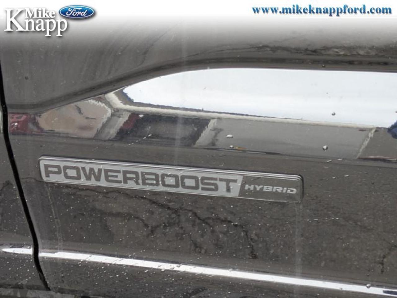 2026 Ford F-150 XLT Photo