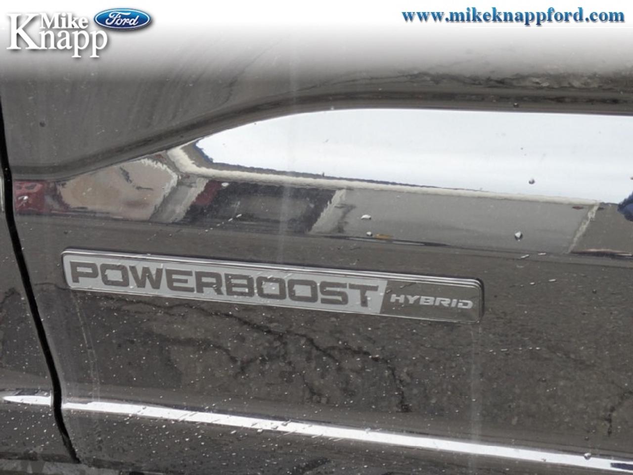2026 Ford F-150 XLT Photo