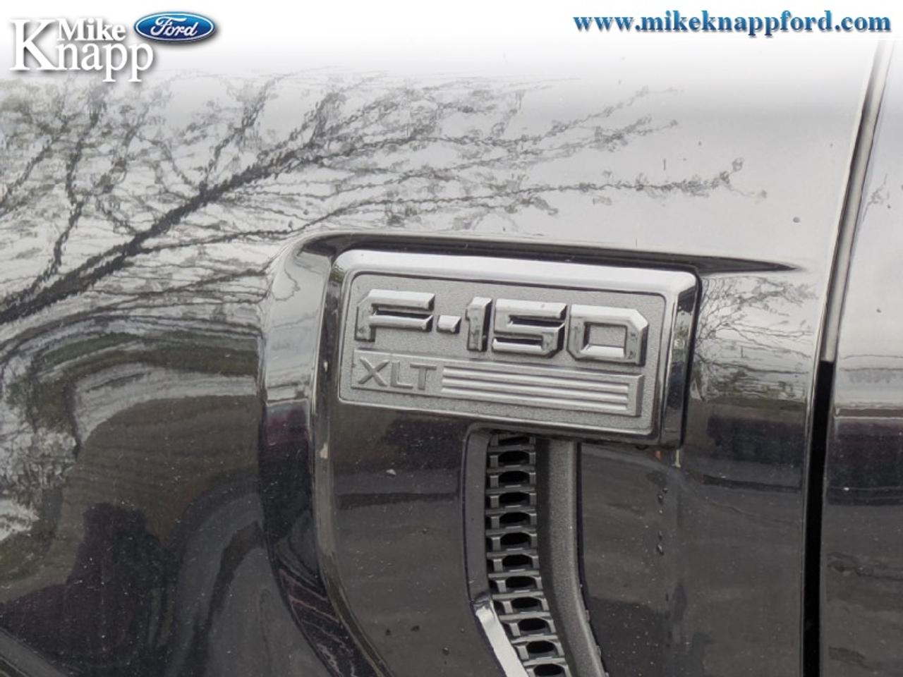 2026 Ford F-150 XLT Photo