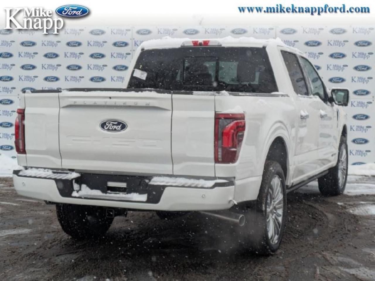 2026 Ford F-150 Platinum Photo