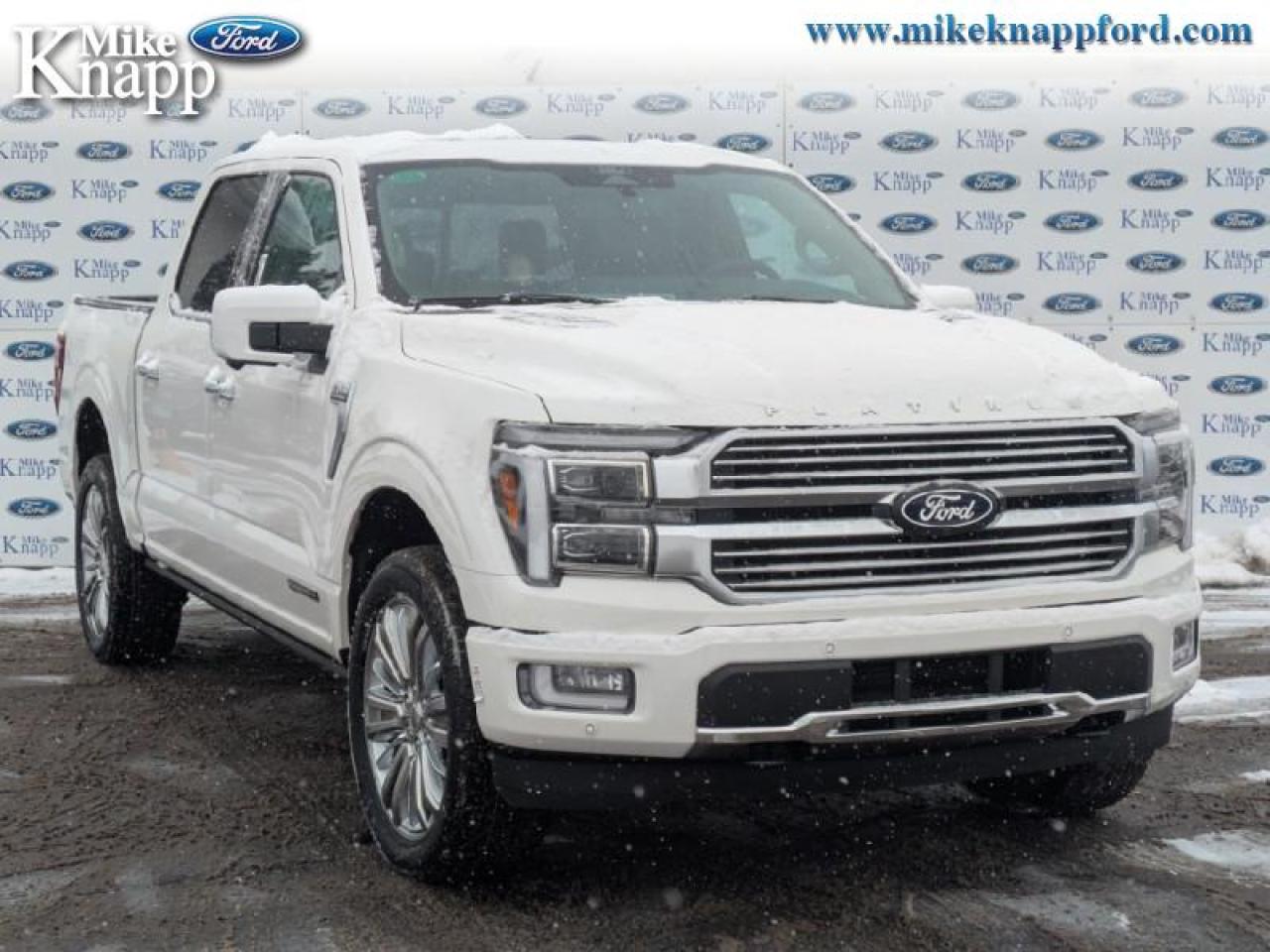 2026 Ford F-150 Platinum Photo