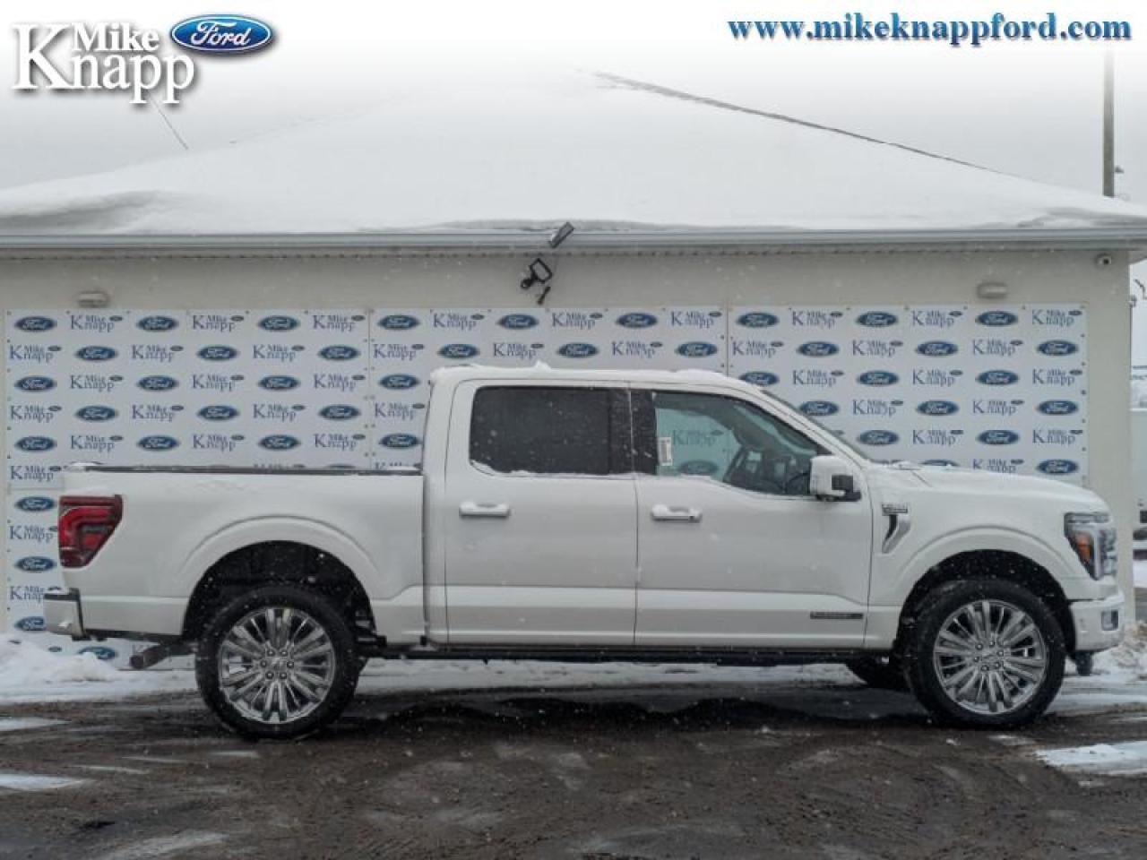 2026 Ford F-150 Platinum Photo