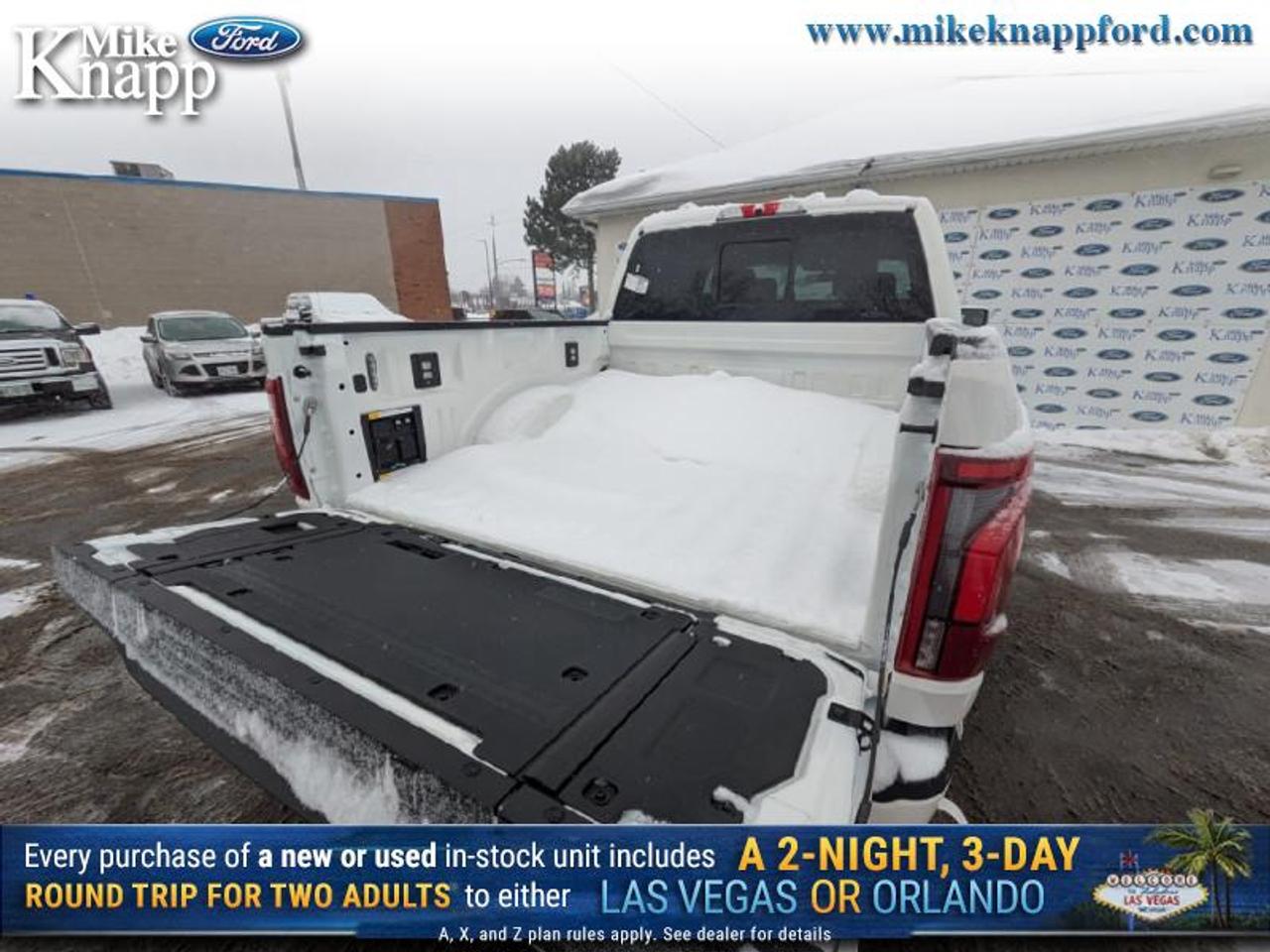 2026 Ford F-150 Platinum Photo
