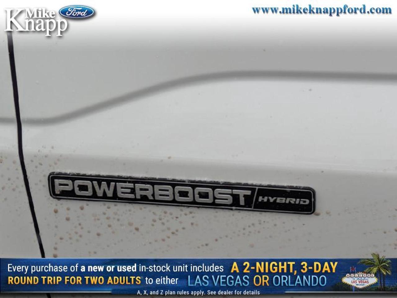 2026 Ford F-150 Platinum Photo