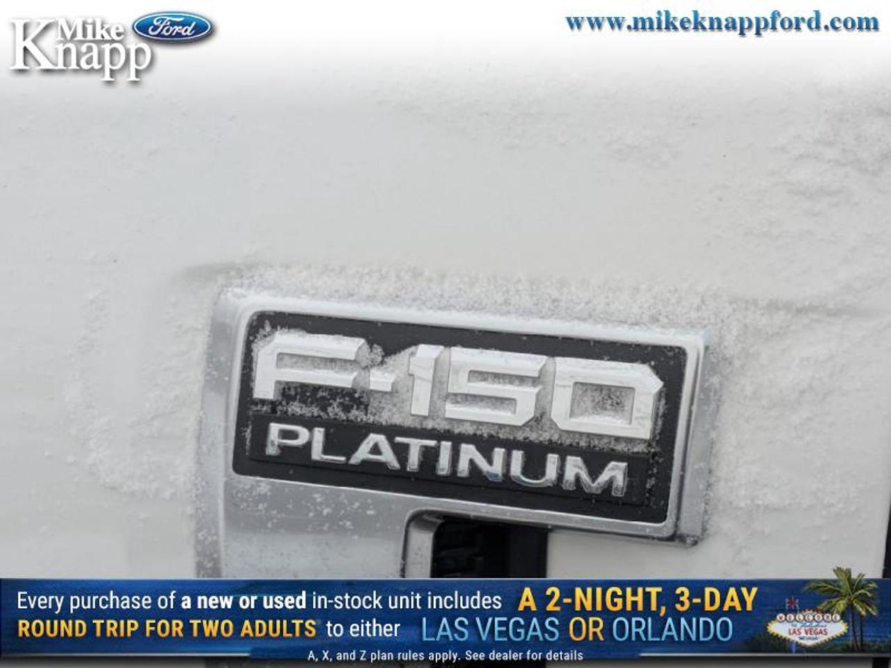 2026 Ford F-150 Platinum Photo