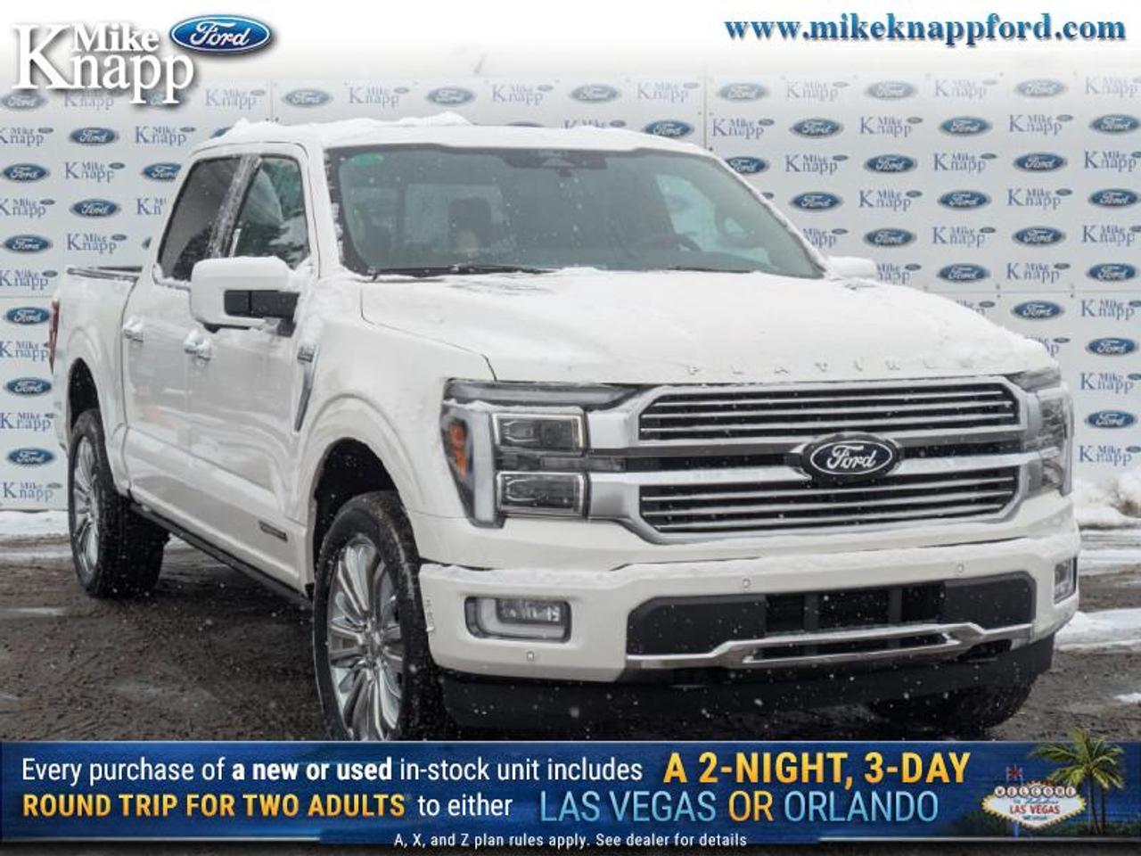 2026 Ford F-150 Platinum Photo