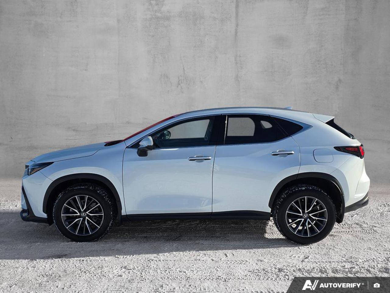 2024 Lexus NX 350h AWD | Wireless Apple CarPlay | Heated Steering | Leather | Photo