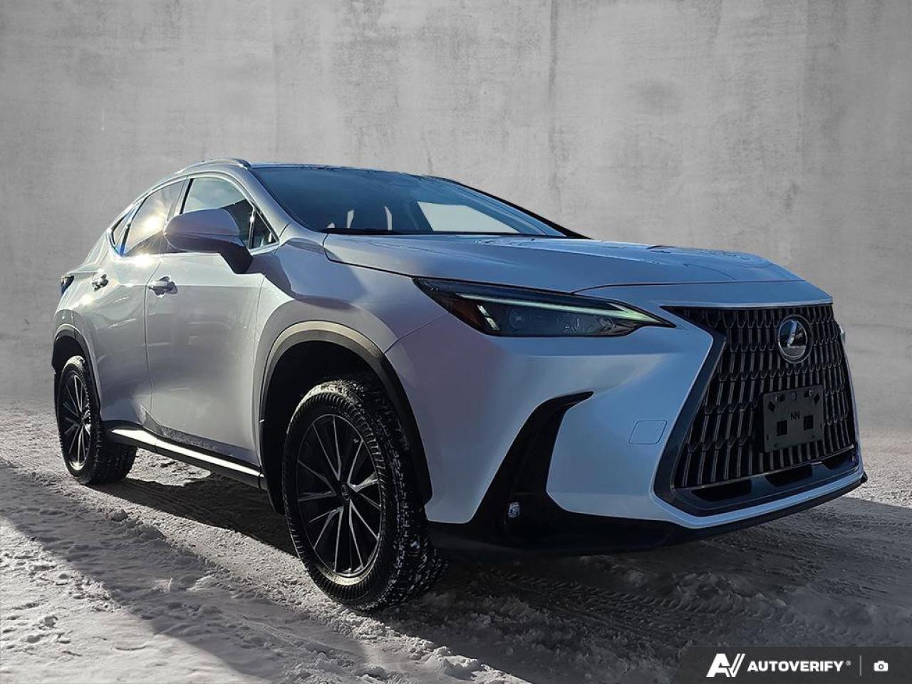 2024 Lexus NX 350h AWD | Wireless Apple CarPlay | Heated Steering | Leather | Photo