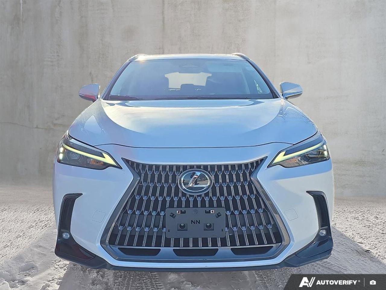 2024 Lexus NX 350h AWD | Wireless Apple CarPlay | Heated Steering | Leather | Photo