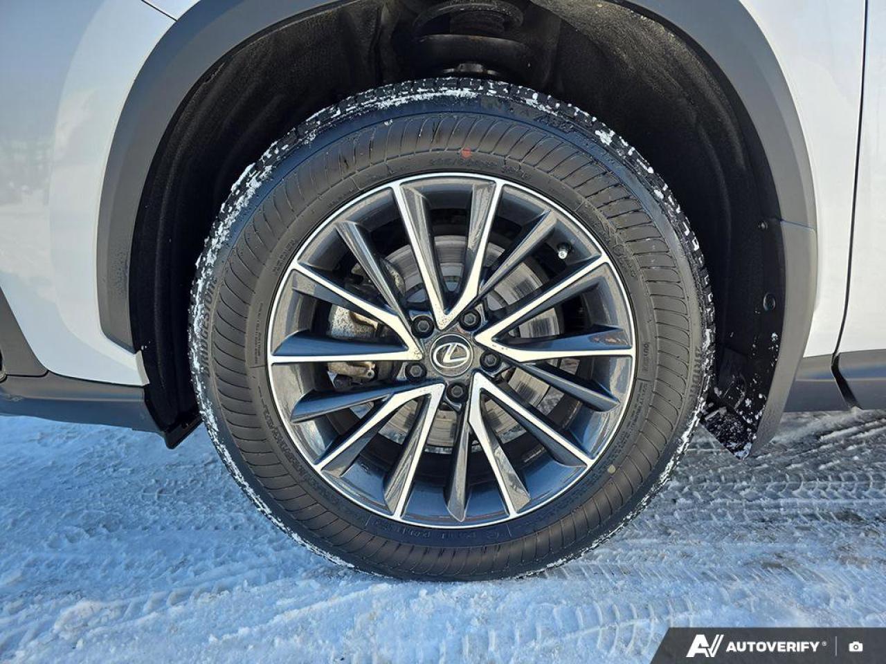 2024 Lexus NX 350h AWD | Wireless Apple CarPlay | Heated Steering | Leather | Photo