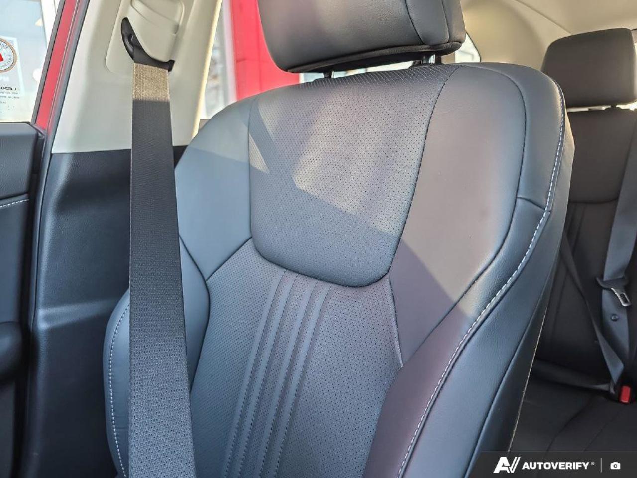 2024 Lexus NX 350h AWD | Wireless Apple CarPlay | Heated Steering | Leather | Photo