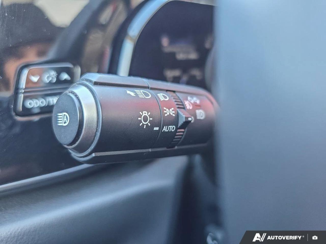 2024 Lexus NX 350h AWD | Wireless Apple CarPlay | Heated Steering | Leather | Photo